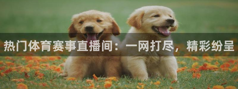 蓝鲸直播体育app下载
